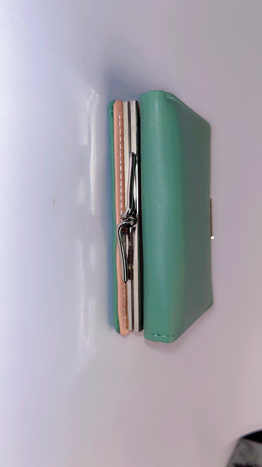 FONMOR Mini Leather Card Holder Wallet – Compact Snap Closure Coin & Card Case (Green)